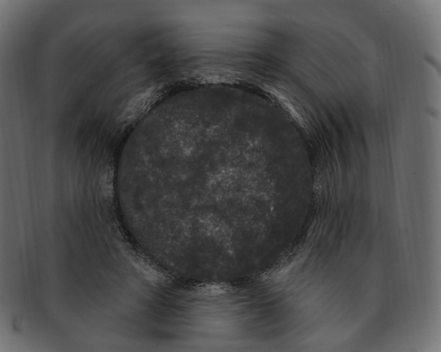 X0000091730402200709211024