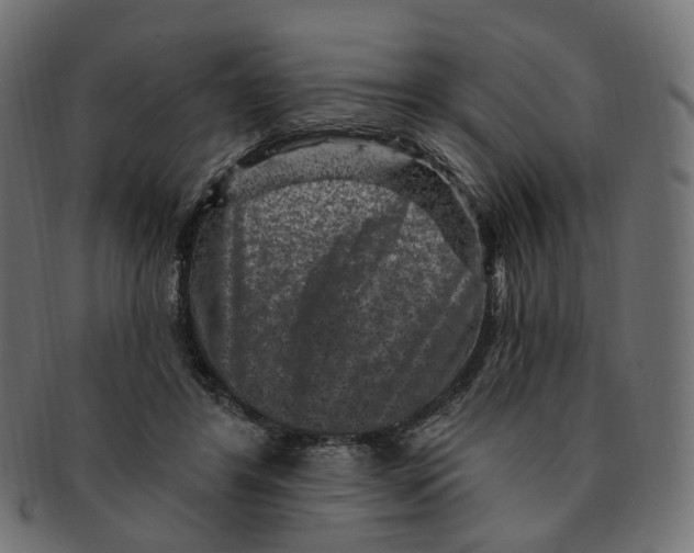 X0000091730404200709211024