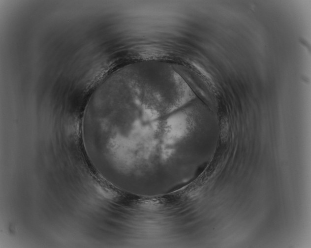 X0000091730405200709211024