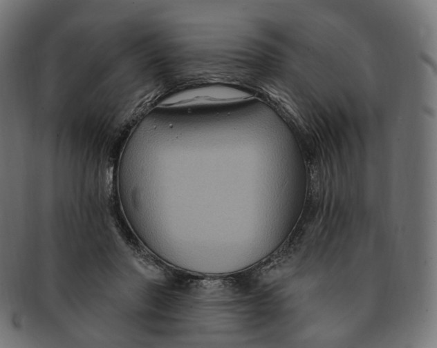 X0000091730406200709211024