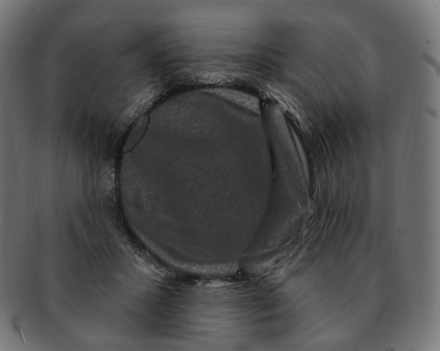 X0000091730407200709211024