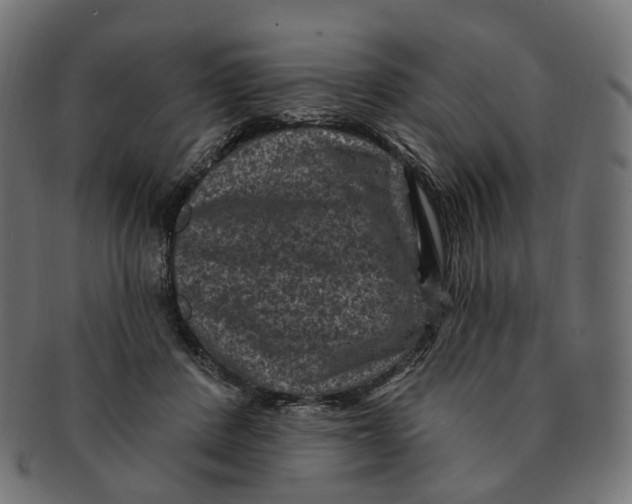 X0000091730408200709211024