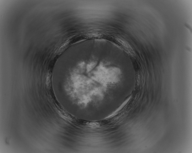 X0000091730409200709211024