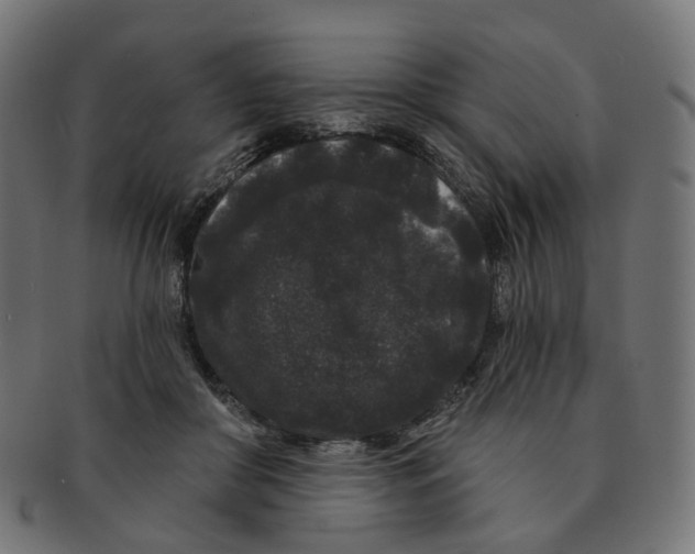 X0000091730410200709211024