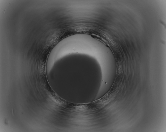 X0000091730411200709211024