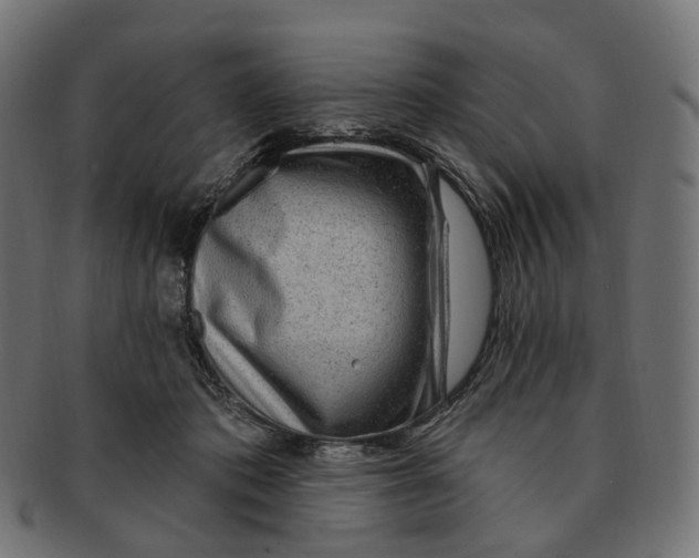 X0000091730413200709211024