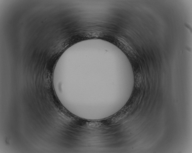 X0000091730414200709211024