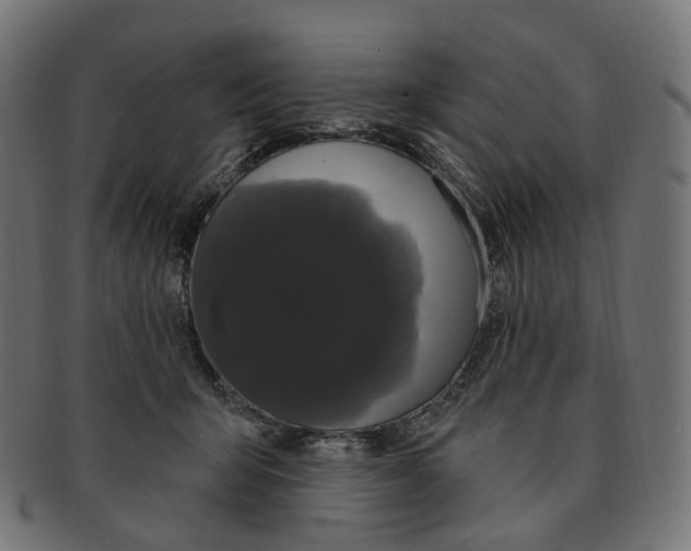 X0000091730415200709211024