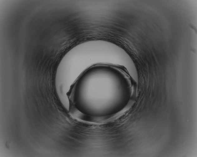 X0000091730416200709211024