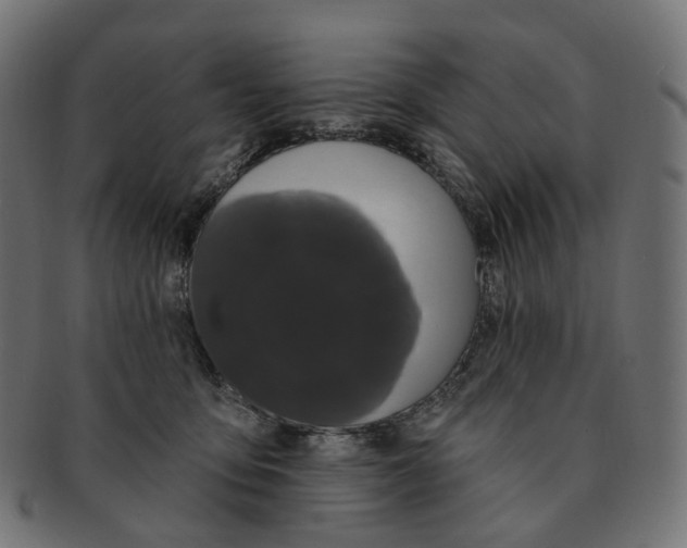 X0000091730419200709211024