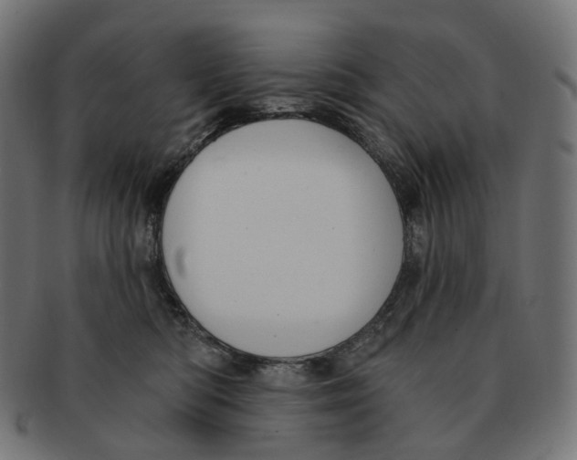 X0000091730422200709211023