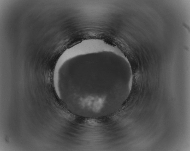 X0000091730423200709211023