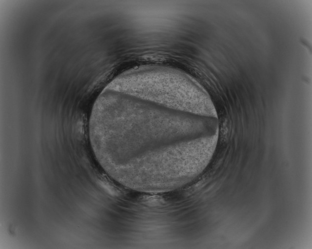 X0000091730424200709211023