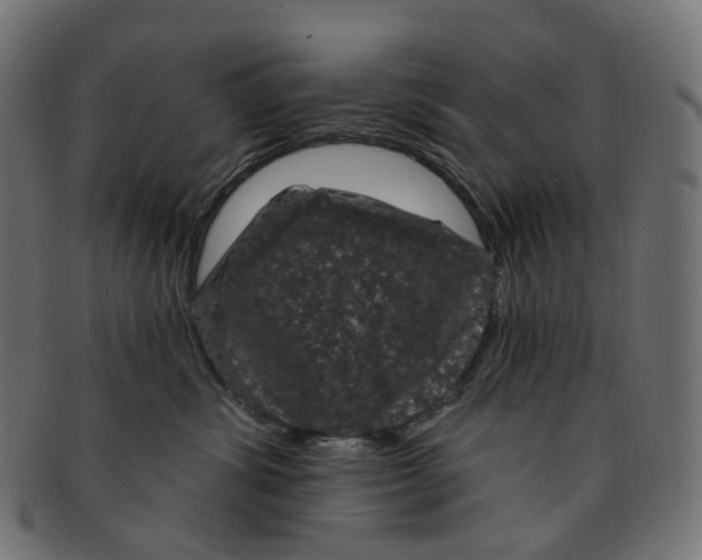 X0000091730428200709211023