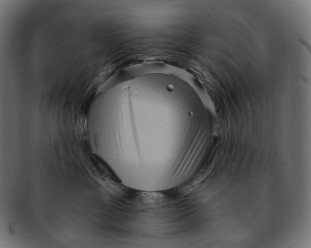 X0000091730429200709211023