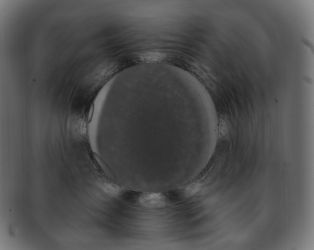 X0000091730431200709211023