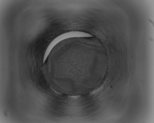 X0000091730432200709211023