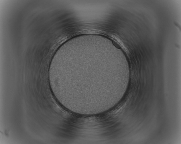 X0000091730433200709211023