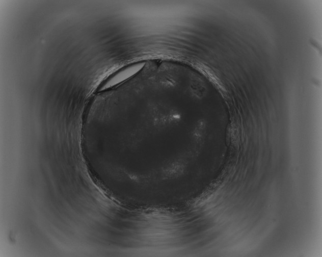 X0000091730434200709211023