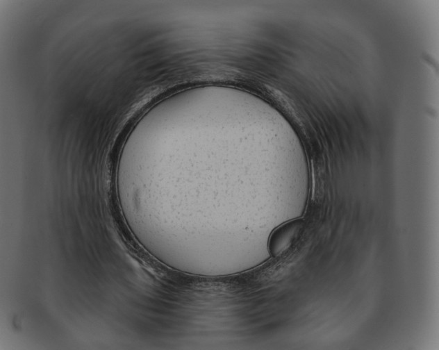 X0000091730435200709211023