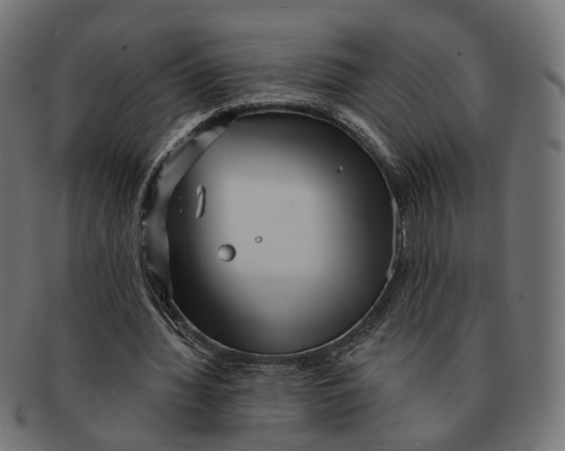 X0000091730436200709211023