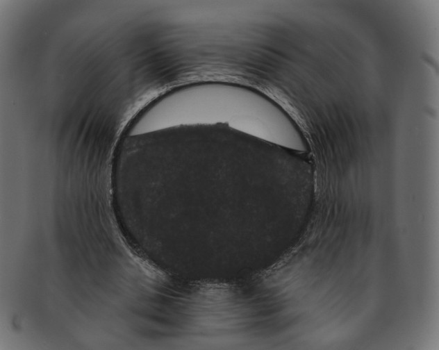 X0000091730438200709211023