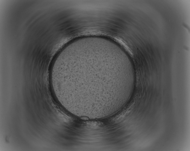 X0000091730439200709211023