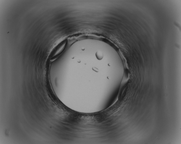 X0000091730440200709211023