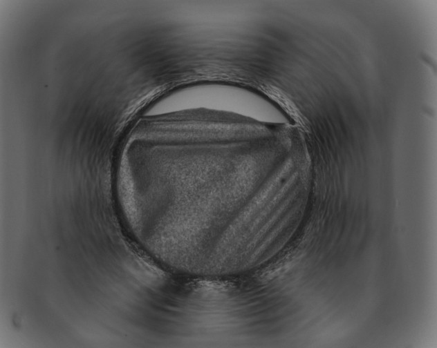 X0000091730442200709211023