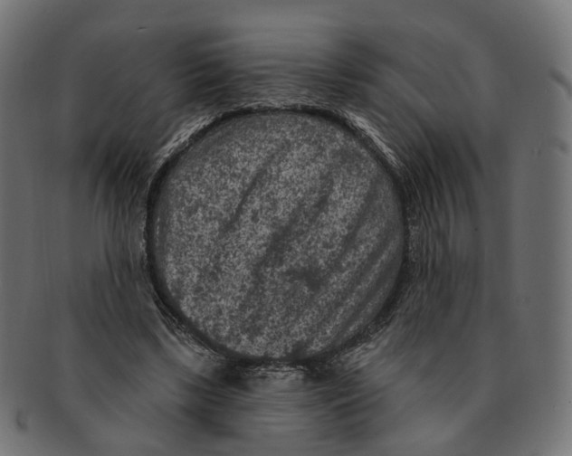 X0000091730443200709211023