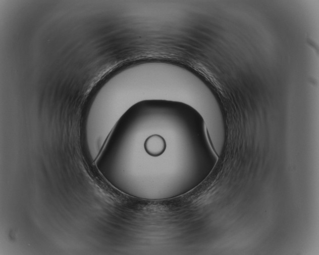 X0000091730444200709211023