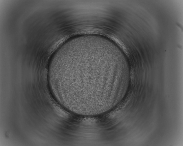 X0000091730445200709211023