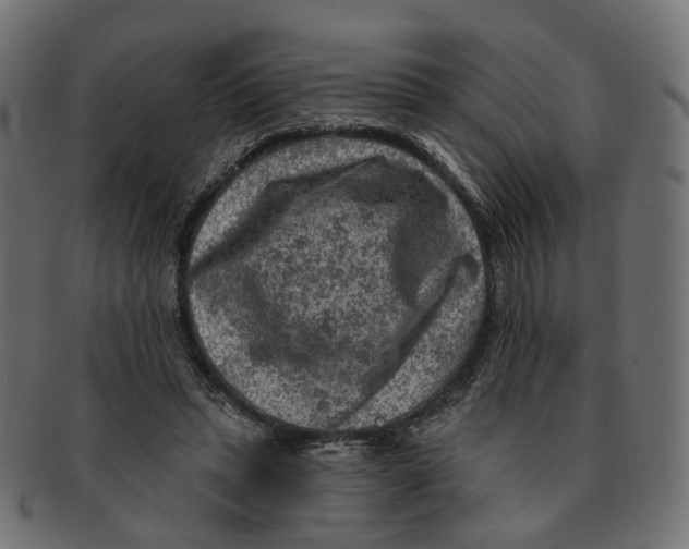 X0000091730447200709211023