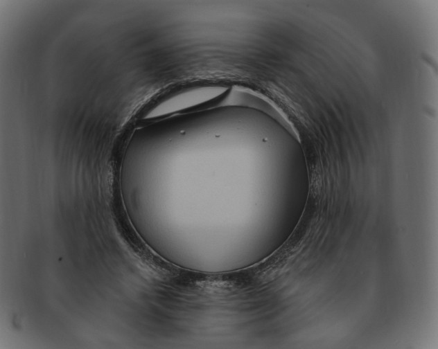 X0000091730448200709211023