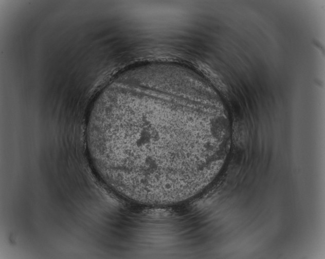 X0000091730449200709211023