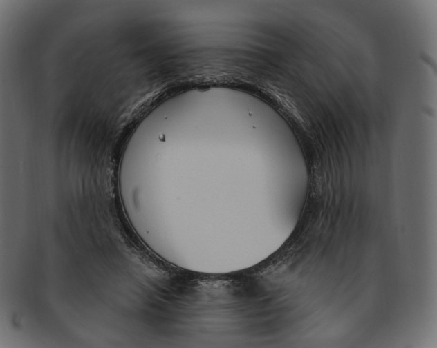 X0000091730450200709211023