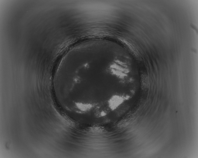 X0000091730451200709211023