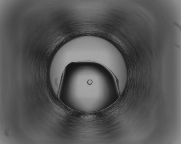 X0000091730452200709211023