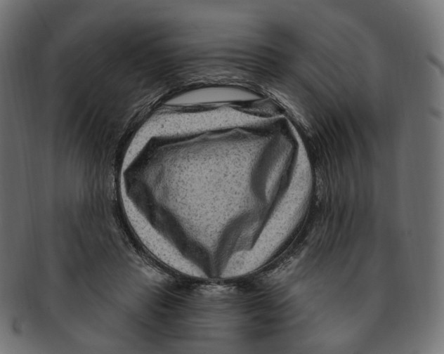 X0000091730453200709211023