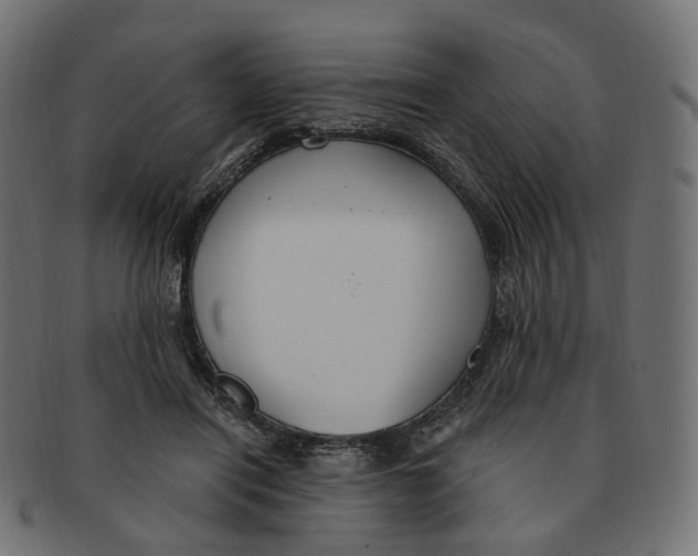 X0000091730454200709211023