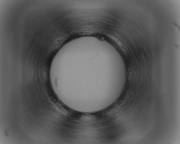 X0000091730455200709211023