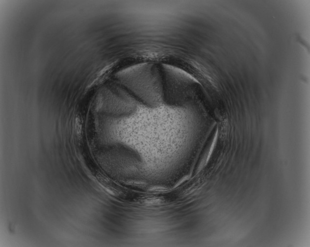 X0000091730456200709211023