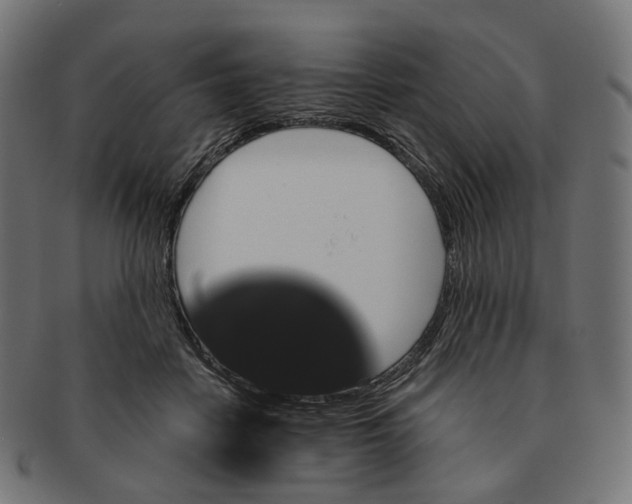 X0000091730458200709211023