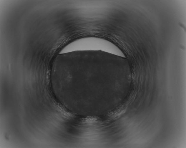 X0000091730462200709211023