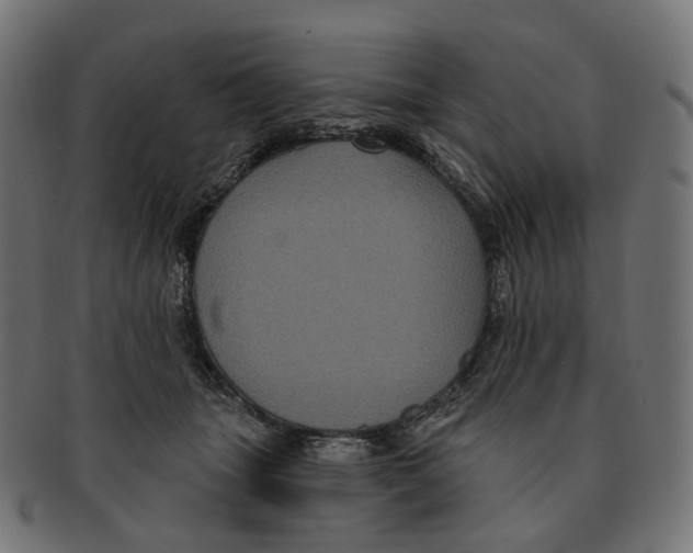 X0000091730463200709211023