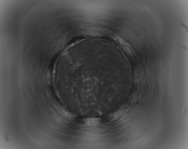 X0000091730465200709211023