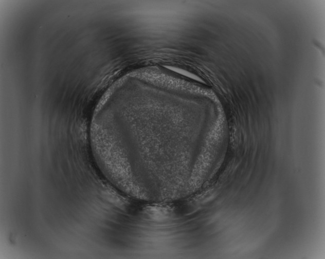 X0000091730466200709211023