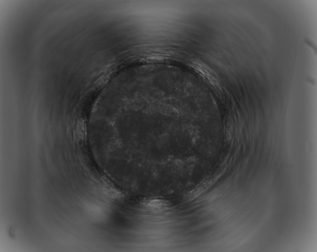 X0000091730467200709211023