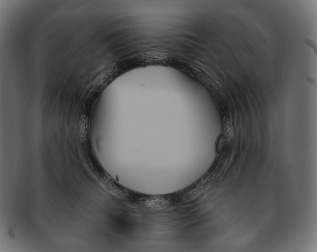 X0000091730468200709211023