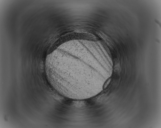 X0000091730469200709211023